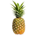PIÑA TROPICAL